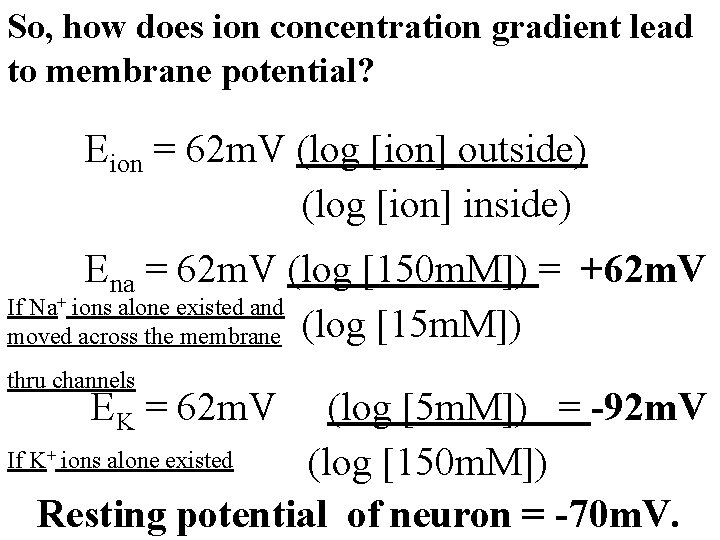 So, how does ion concentration gradient lead to membrane potential? Eion = 62 m.