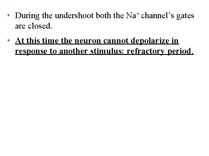  • During the undershoot both the Na+ channel’s gates are closed. • At