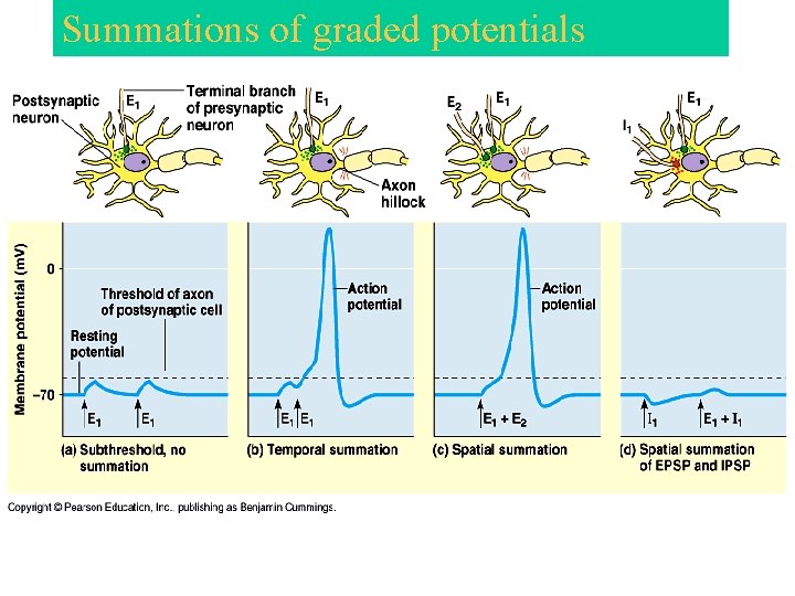 Summations of graded potentials 