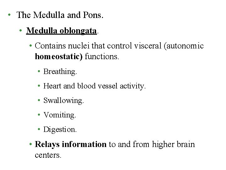  • The Medulla and Pons. • Medulla oblongata. • Contains nuclei that control