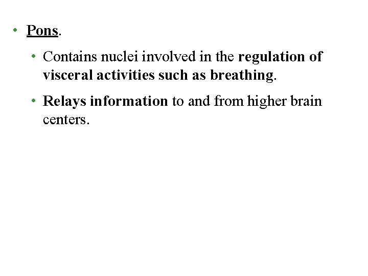 • Pons. • Contains nuclei involved in the regulation of visceral activities such • Pons. • Contains nuclei involved in the regulation of visceral activities such