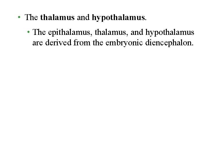  • The thalamus and hypothalamus. • The epithalamus, and hypothalamus are derived from