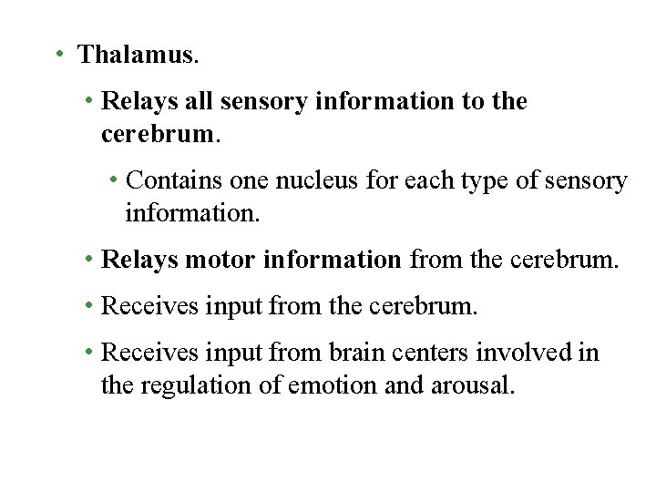  • Thalamus. • Relays all sensory information to the cerebrum. • Contains one