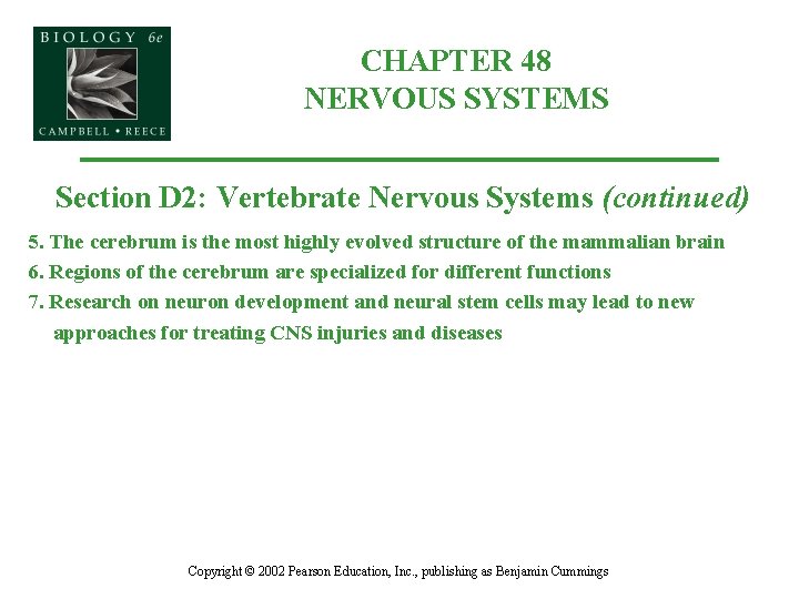 CHAPTER 48 NERVOUS SYSTEMS Section D 2: Vertebrate Nervous Systems (continued) 5. The cerebrum