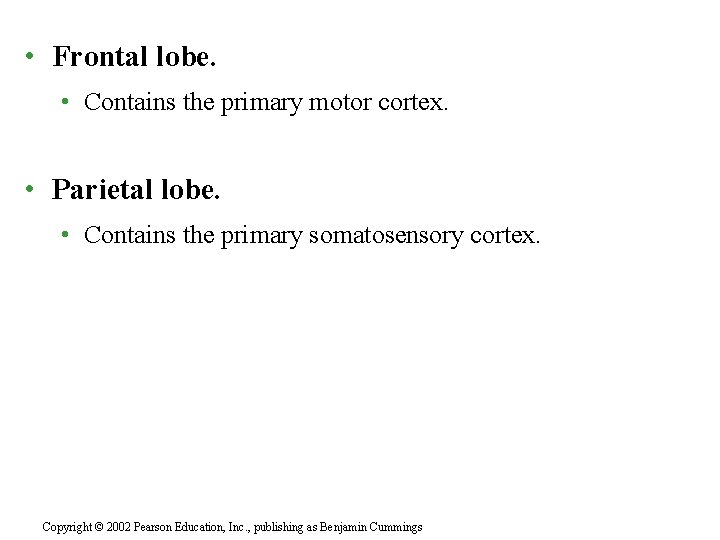  • Frontal lobe. • Contains the primary motor cortex. • Parietal lobe. •