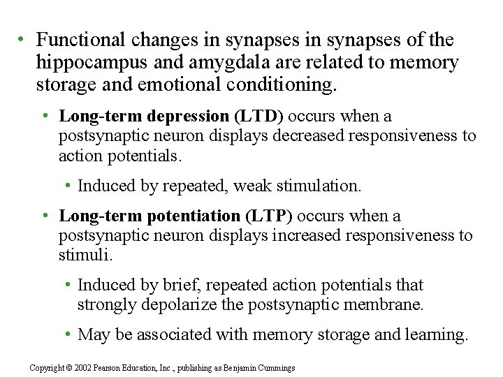  • Functional changes in synapses of the hippocampus and amygdala are related to