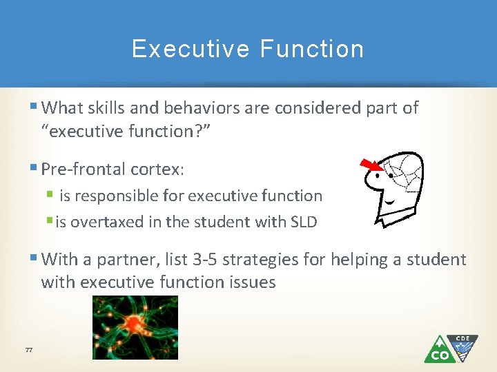 Executive Function § What skills and behaviors are considered part of “executive function? ” Executive Function § What skills and behaviors are considered part of “executive function? ”