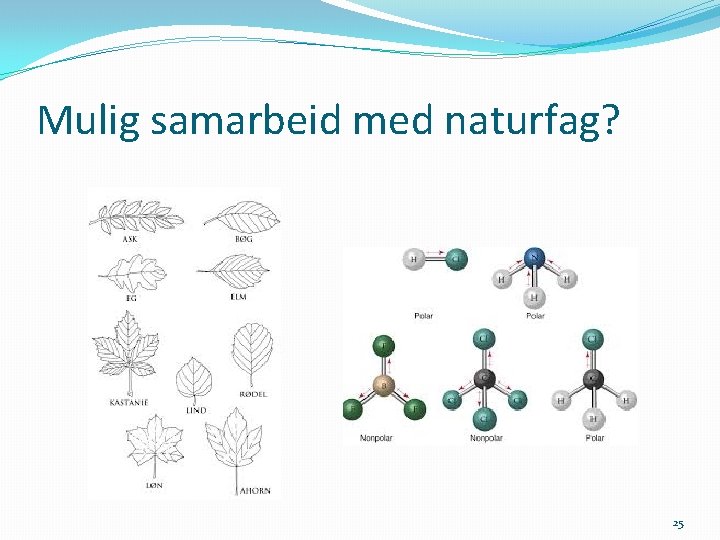 Mulig samarbeid med naturfag? 25 