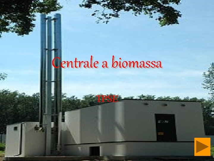 Centrale a biomassa TPSE 