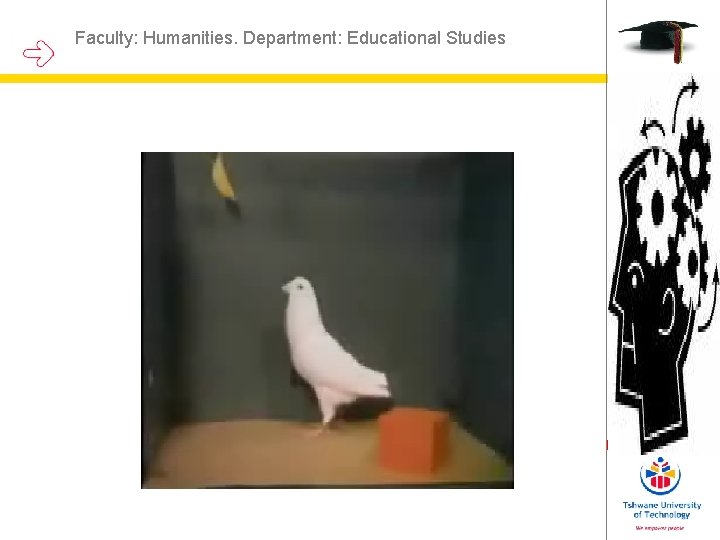 Faculty: Humanities. Department: Educational Studies Faculty: Humanities. Department: Educational Studies