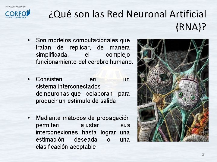 ¿Qué son las Red Neuronal Artificial (RNA)? • Son modelos computacionales que tratan de