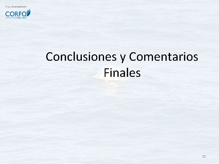 Conclusiones y Comentarios Finales 22 