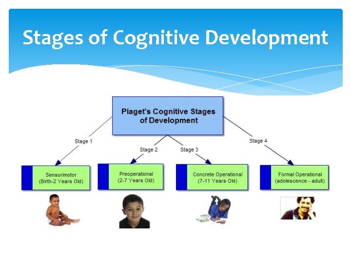 Stages of Cognitive Development 