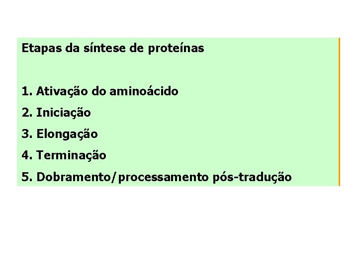 Etapas da síntese de proteínas 1. Ativação do aminoácido 2. Iniciação 3. Elongação 4.