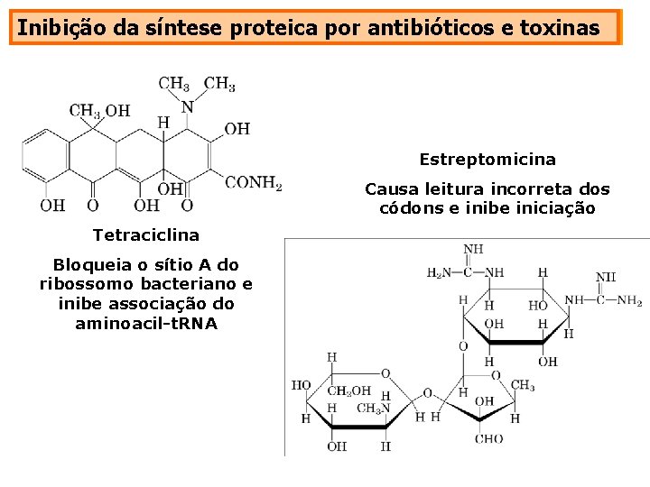 Inibição da síntese proteica por antibióticos e toxinas Estreptomicina Causa leitura incorreta dos códons