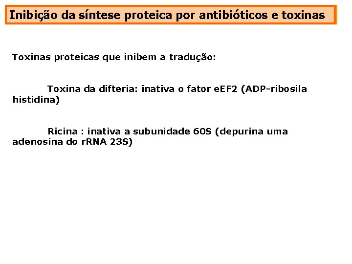 Inibição da síntese proteica por antibióticos e toxinas Toxinas proteicas que inibem a tradução: