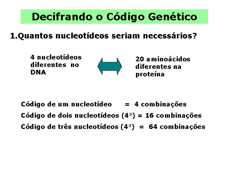 Decifrando o Código Genético 1. Quantos nucleotídeos seriam necessários? 4 nucleotídeos diferentes no DNA