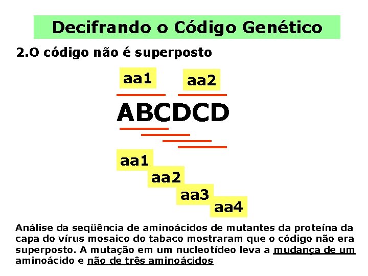 Decifrando o Código Genético 2. O código não é superposto aa 1 aa 2