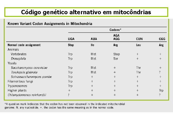 Código genético alternativo em mitocôndrias 