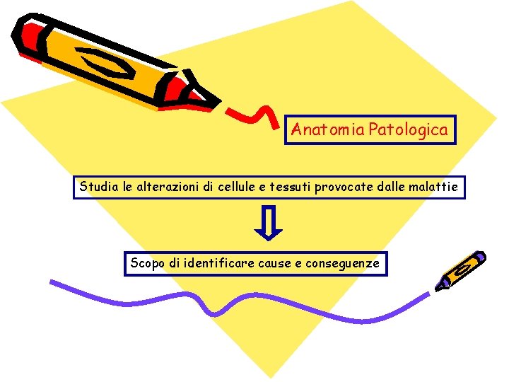 Anatomia Patologica Studia le alterazioni di cellule e tessuti provocate dalle malattie Scopo di