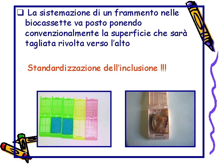 q La sistemazione di un frammento nelle biocassette va posto ponendo convenzionalmente la superficie q La sistemazione di un frammento nelle biocassette va posto ponendo convenzionalmente la superficie