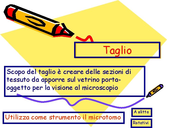 Taglio Scopo del taglio è creare delle sezioni di tessuto da apporre sul vetrino