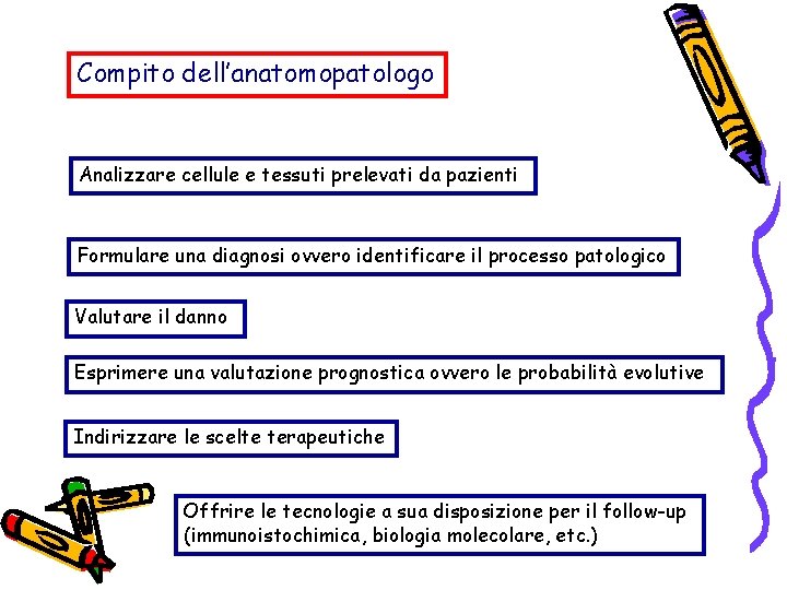 Compito dell’anatomopatologo Analizzare cellule e tessuti prelevati da pazienti Formulare una diagnosi ovvero identificare