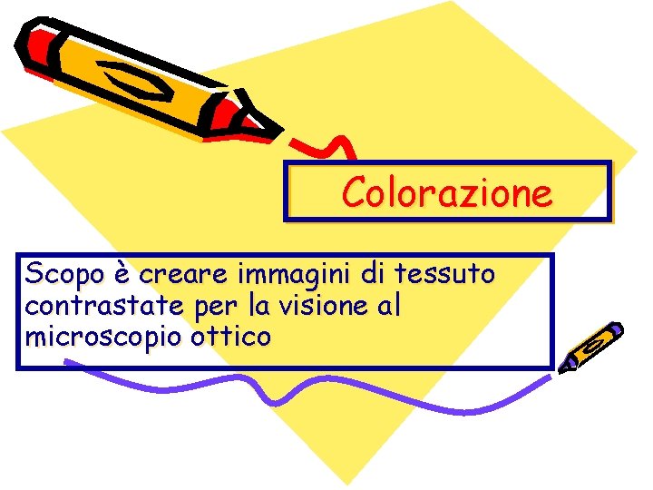 Colorazione Scopo è creare immagini di tessuto contrastate per la visione al microscopio ottico