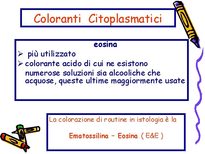 Coloranti Citoplasmatici eosina Ø più utilizzato Ø colorante acido di cui ne esistono numerose