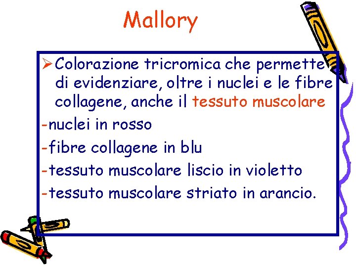 Mallory Ø Colorazione tricromica che permette di evidenziare, oltre i nuclei e le fibre