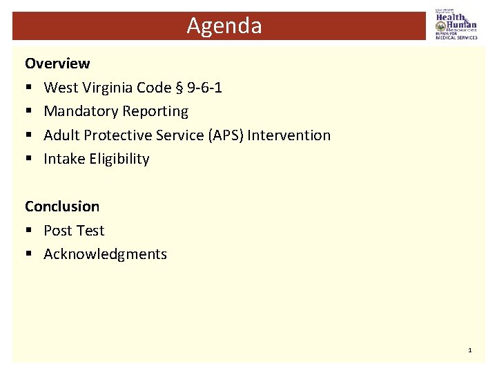 Agenda Overview § West Virginia Code § 9 -6 -1 § Mandatory Reporting §