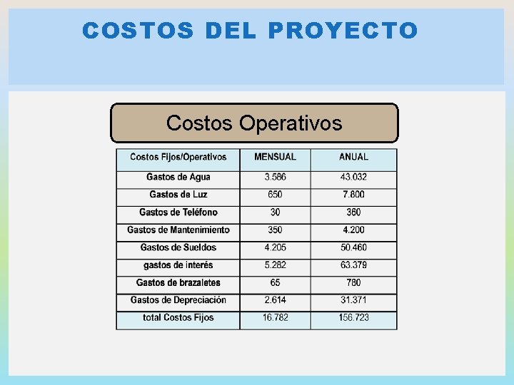 COSTOS DEL PROYECTO Costos Operativos 