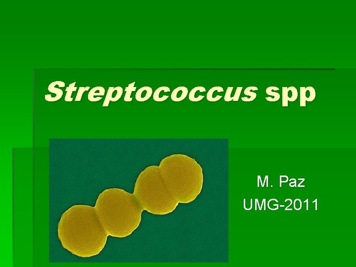 Streptococcus spp M. Paz UMG-2011 