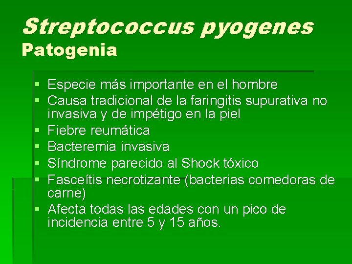 Streptococcus pyogenes Patogenia § Especie más importante en el hombre § Causa tradicional de