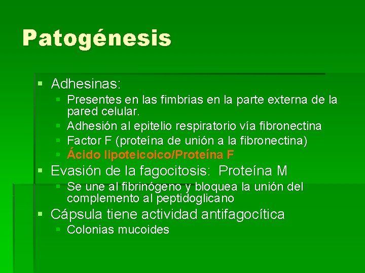 Patogénesis § Adhesinas: § Presentes en las fimbrias en la parte externa de la