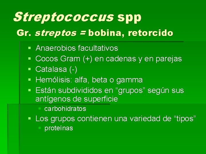 Streptococcus spp Gr. streptos = bobina, retorcido § § § Anaerobios facultativos Cocos Gram