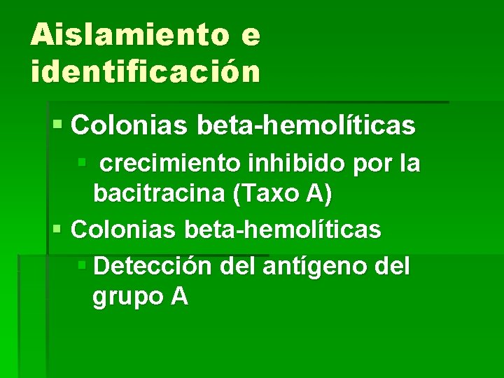 Aislamiento e identificación § Colonias beta-hemolíticas § crecimiento inhibido por la bacitracina (Taxo A)