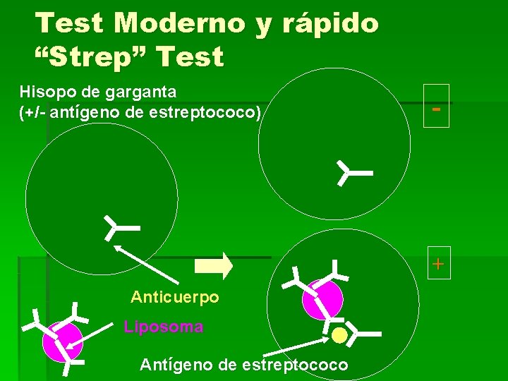 Test Moderno y rápido “Strep” Test Hisopo de garganta (+/- antígeno de estreptococo) -