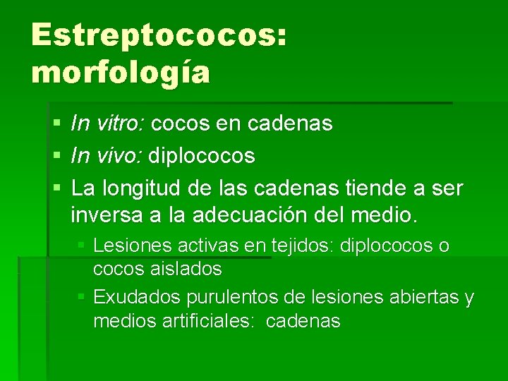 Estreptococos: morfología § § § In vitro: cocos en cadenas In vivo: diplococos La