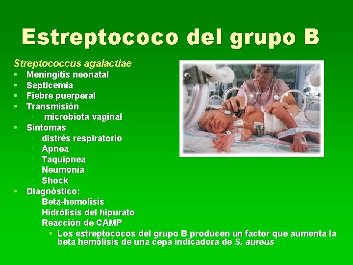 Estreptococo del grupo B Streptococcus agalactiae § § Meningitis neonatal Septicemia Fiebre puerperal Transmisión