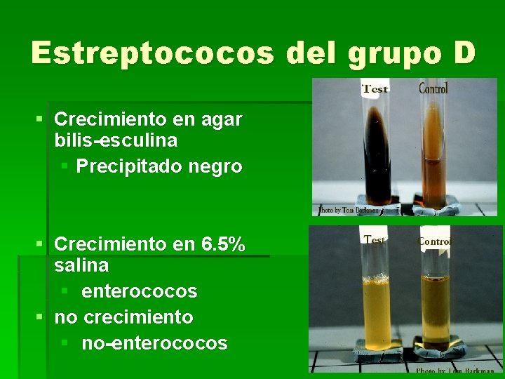 Estreptococos del grupo D § Crecimiento en agar bilis-esculina § Precipitado negro § Crecimiento