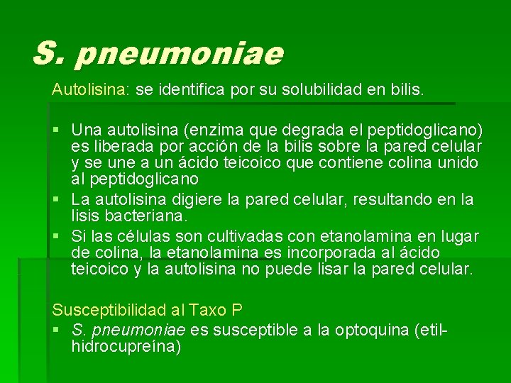 S. pneumoniae Autolisina: se identifica por su solubilidad en bilis. § Una autolisina (enzima
