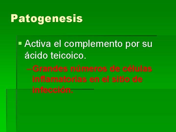 Patogenesis § Activa el complemento por su ácido teicoico. – Grandes números de células