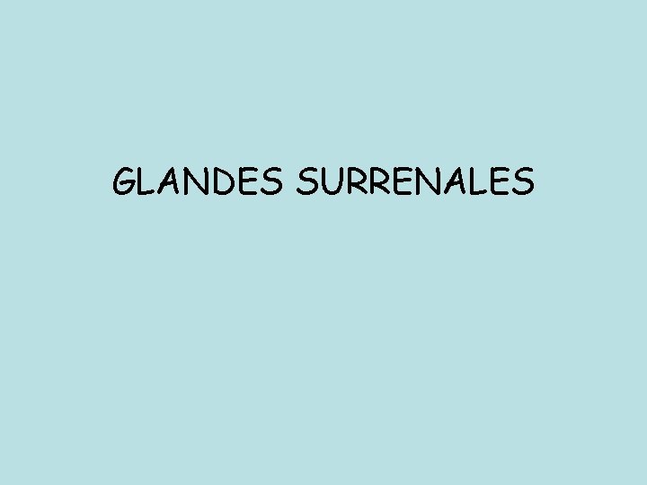 GLANDES SURRENALES GLANDES SURRENALES