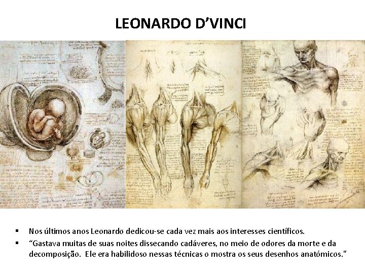 LEONARDO D’VINCI § § Nos últimos anos Leonardo dedicou-se cada vez mais aos interesses
