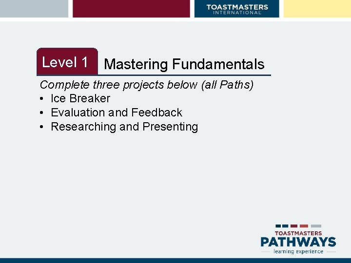 Level 1 Level 2 Mastering Fundamentals Complete three projects below (all Paths) • Ice