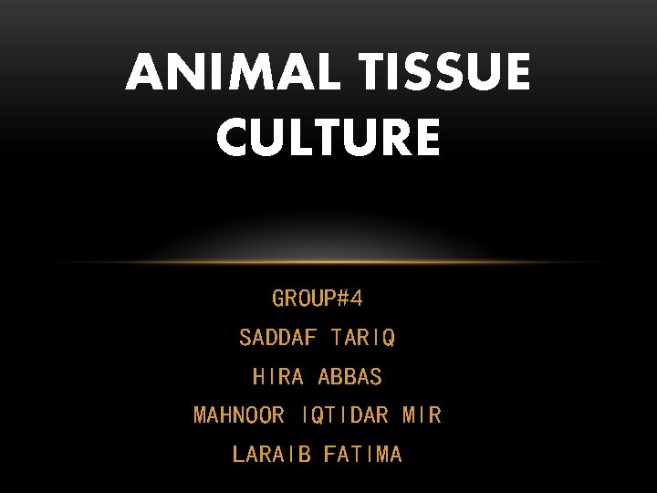 ANIMAL TISSUE CULTURE GROUP#4 SADDAF TARIQ HIRA ABBAS MAHNOOR IQTIDAR MIR LARAIB FATIMA 