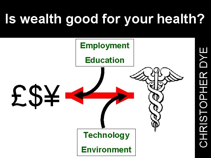 Employment Education £$¥ Technology Environment CHRISTOPHER DYE Is wealth good for your health? 