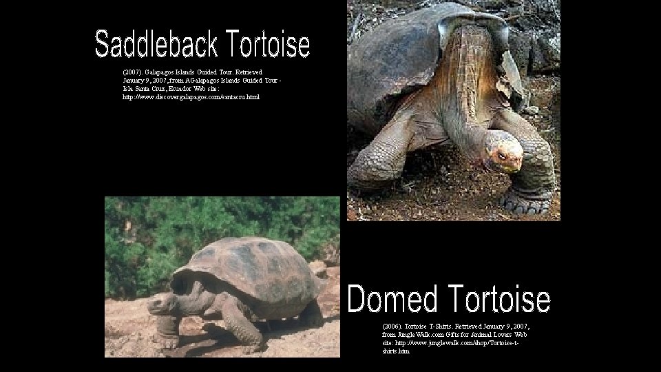 (2007). Galapagos Islands Guided Tour. Retrieved January 9, 2007, from AGalapagos Islands Guided Tour (2007). Galapagos Islands Guided Tour. Retrieved January 9, 2007, from AGalapagos Islands Guided Tour