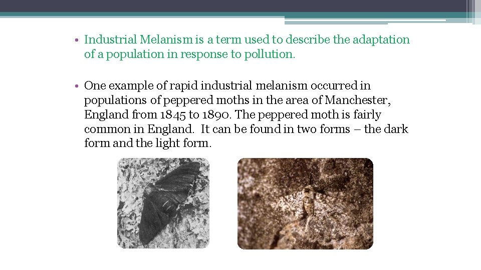 • Industrial Melanism is a term used to describe the adaptation of a • Industrial Melanism is a term used to describe the adaptation of a
